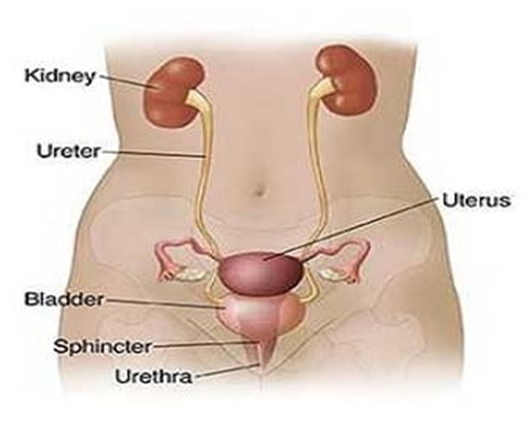 Healthcare consultation