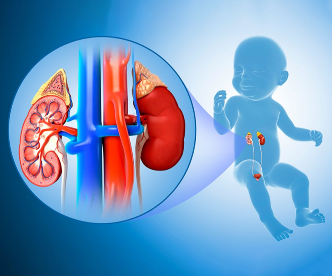 Healthcare consultation