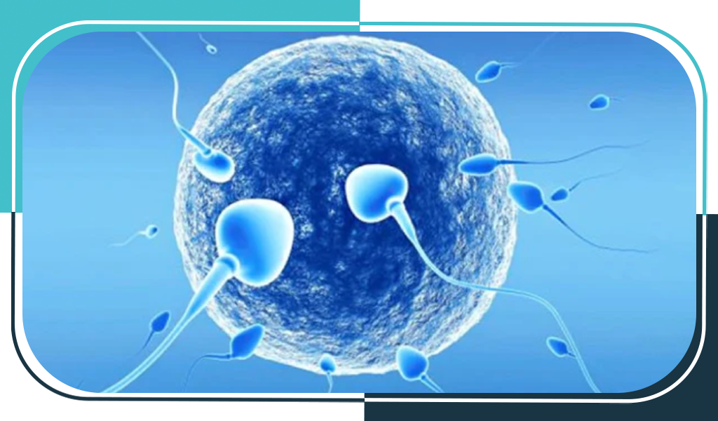 Emergency Department