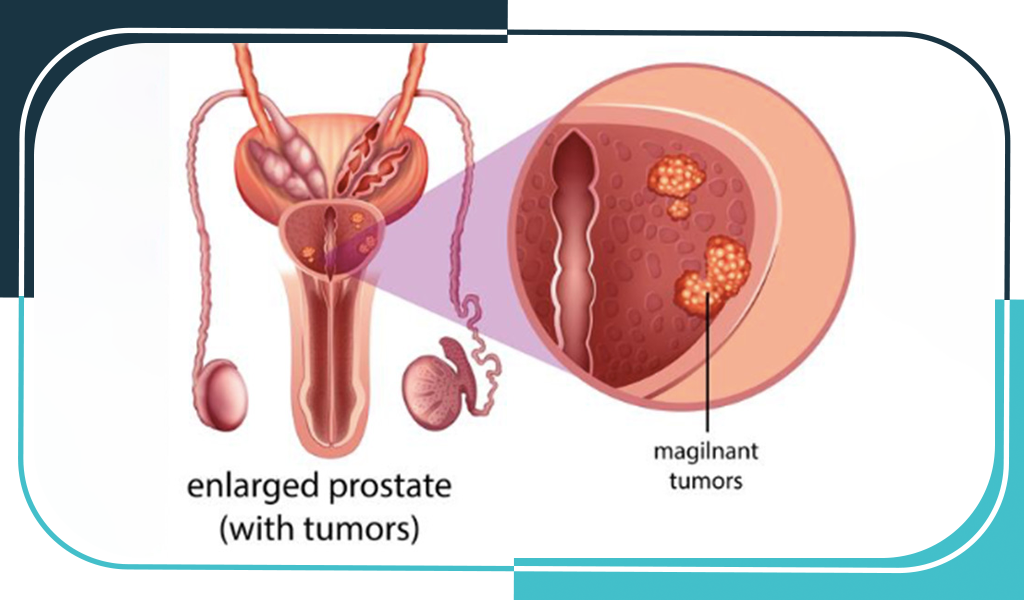 Orthopedics Department