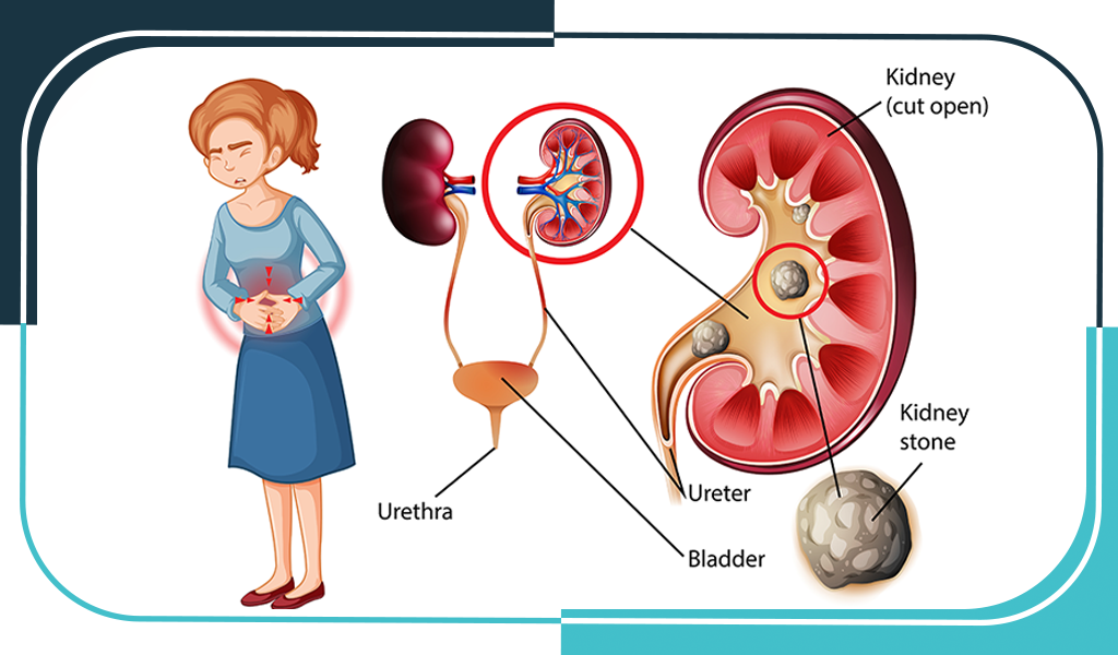 Cardiology Department